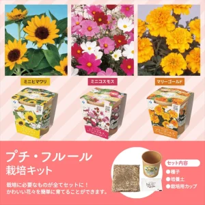 プチ・フルール/栽培キット